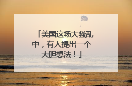 美国这场大骚乱中，有人提出一个大胆想法！