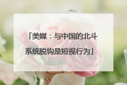 美媒：与中国的北斗系统脱钩是短视行为