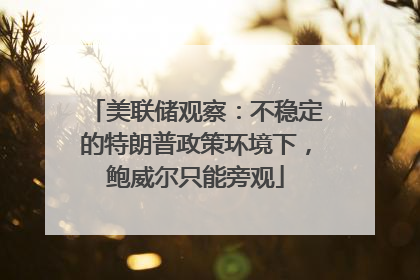 美联储观察：不稳定的特朗普政策环境下，鲍威尔只能旁观
