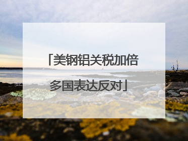 美钢铝关税加倍 多国表达反对