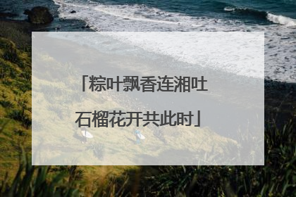 粽叶飘香连湘吐 石榴花开共此时