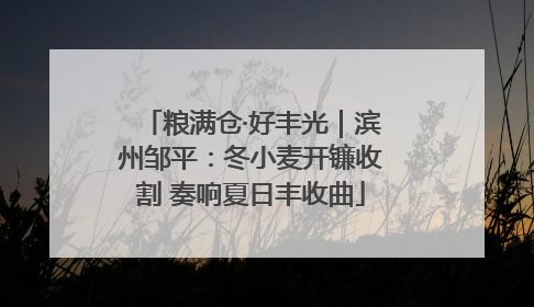 粮满仓·好丰光｜滨州邹平：冬小麦开镰收割 奏响夏日丰收曲