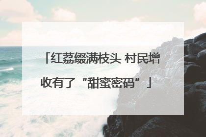 红荔缀满枝头 村民增收有了“甜蜜密码”