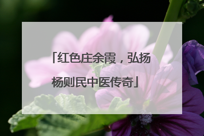 红色庄余霞，弘扬杨则民中医传奇