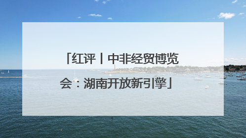 红评丨中非经贸博览会：湖南开放新引擎