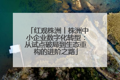红观株洲丨株洲中小企业数字化转型：从试点破局到生态重构的进阶之路