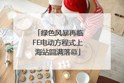 绿色风暴再临 FE电动方程式上海站圆满落幕