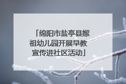 绵阳市盐亭县嫘祖幼儿园开展早教宣传进社区活动