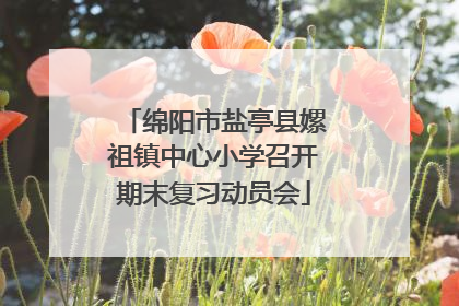 绵阳市盐亭县嫘祖镇中心小学召开期末复习动员会