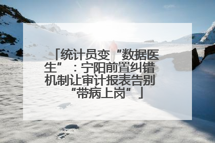统计员变“数据医生”：宁阳前置纠错机制让审计报表告别“带病上岗”