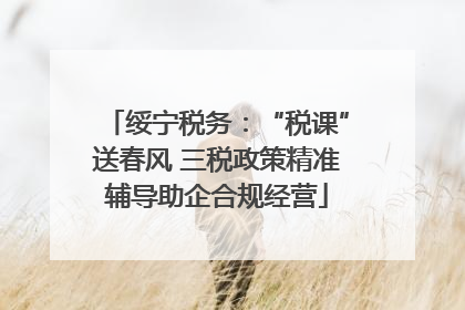 绥宁税务：“税课”送春风 三税政策精准辅导助企合规经营