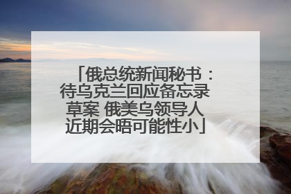 俄总统新闻秘书：待乌克兰回应备忘录草案 俄美乌领导人近期会晤可能性小