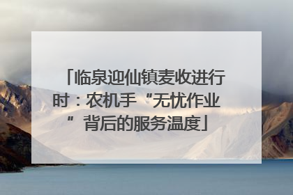 临泉迎仙镇麦收进行时：农机手“无忧作业”背后的服务温度