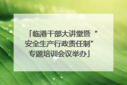 临港干部大讲堂暨“安全生产行政责任制”专题培训会议举办