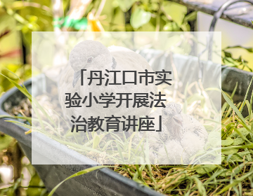 丹江口市实验小学开展法治教育讲座