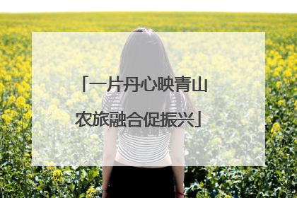 一片丹心映青山 农旅融合促振兴