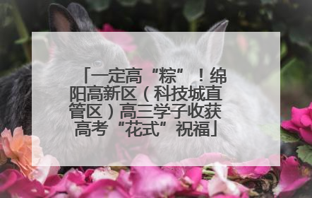一定高“粽”！绵阳高新区（科技城直管区）高三学子收获高考“花式”祝福
