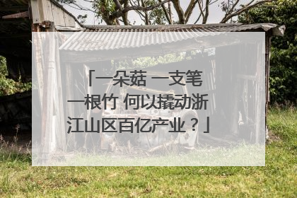 一朵菇 一支笔 一根竹 何以撬动浙江山区百亿产业？