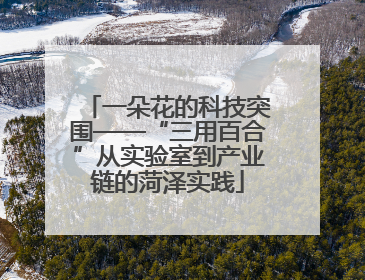 一朵花的科技突围——“三用百合”从实验室到产业链的菏泽实践