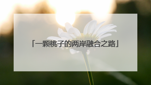 一颗桃子的两岸融合之路