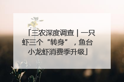 三农深度调查｜一只虾三个“转身”，鱼台小龙虾消费季升级