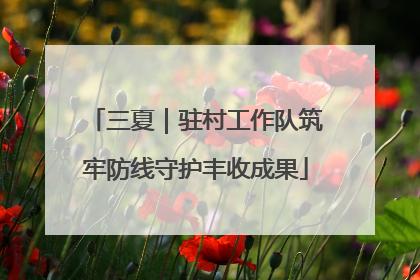 三夏｜驻村工作队筑牢防线守护丰收成果
