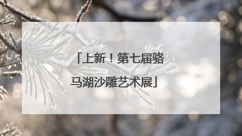 上新！第七届骆马湖沙雕艺术展