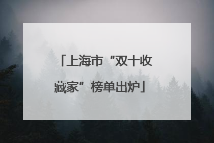 上海市“双十收藏家”榜单出炉