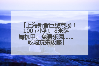 上海新晋巨型商场！100+小狗、8米萨姆机甲、免费乐园……吃喝玩乐攻略