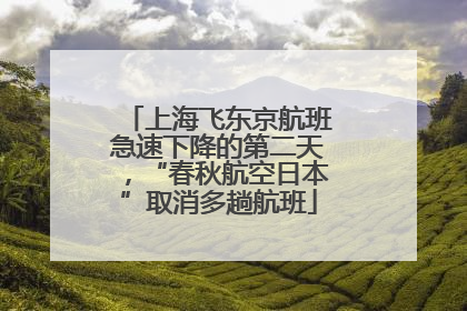 上海飞东京航班急速下降的第二天，“春秋航空日本”取消多趟航班