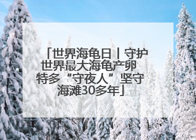 世界海龟日丨守护世界最大海龟产卵 特多“守夜人”坚守海滩30多年