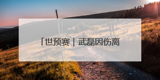 世预赛｜武磊因伤离开国足集训队，伊万不再补招顶替球员
