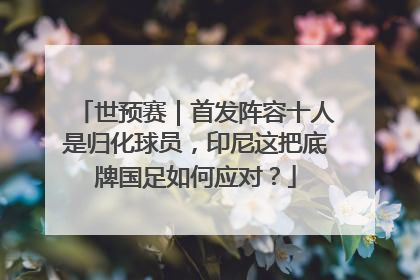 世预赛｜首发阵容十人是归化球员，印尼这把底牌国足如何应对？