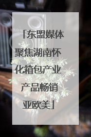 东盟媒体聚焦湖南怀化箱包产业 产品畅销亚欧美