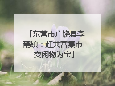 东营市广饶县李鹊镇：赶共富集市 变闲物为宝