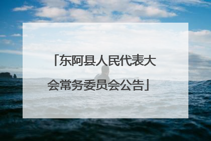 东阿县人民代表大会常务委员会公告