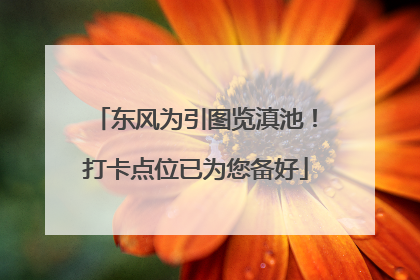 东风为引图览滇池！打卡点位已为您备好