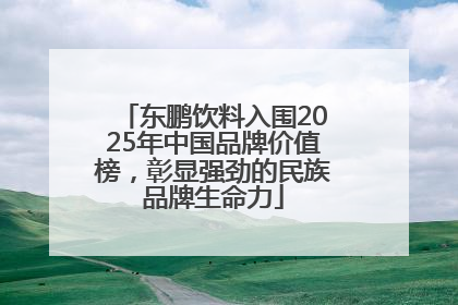 东鹏饮料入围2025年中国品牌价值榜，彰显强劲的民族品牌生命力