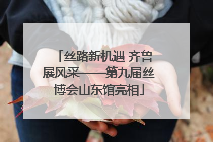 丝路新机遇 齐鲁展风采——第九届丝博会山东馆亮相