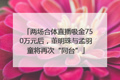 两场合体直播吸金750万元后，董明珠与孟羽童将再次“同台”