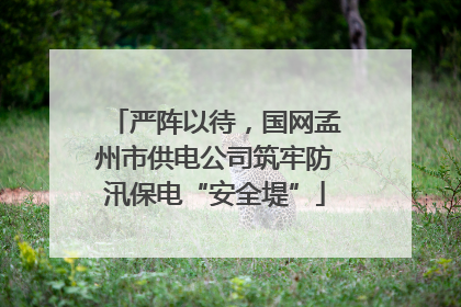严阵以待，国网孟州市供电公司筑牢防汛保电“安全堤”