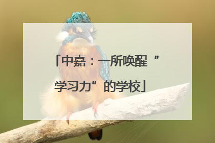 中嘉：一所唤醒“学习力”的学校