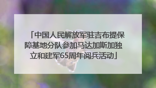 中国人民解放军驻吉布提保障基地分队参加马达加斯加独立和建军65周年阅兵活动