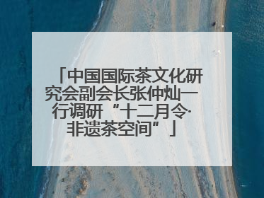 中国国际茶文化研究会副会长张仲灿一行调研“十二月令·非遗茶空间”