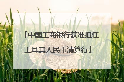 中国工商银行获准担任土耳其人民币清算行