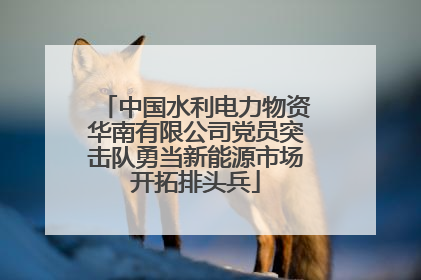 中国水利电力物资华南有限公司党员突击队勇当新能源市场开拓排头兵