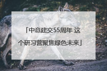 中意建交55周年 这个研习营聚焦绿色未来