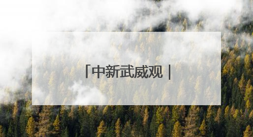中新武威观｜农技专家田间地头“把脉开方”送“及时雨”