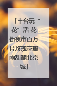 丰台玩“花”活 花街夜市百万片玫瑰花瓣雨甜翻北京城