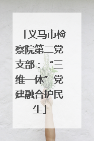 义马市检察院第二党支部：“三维一体”党建融合护民生